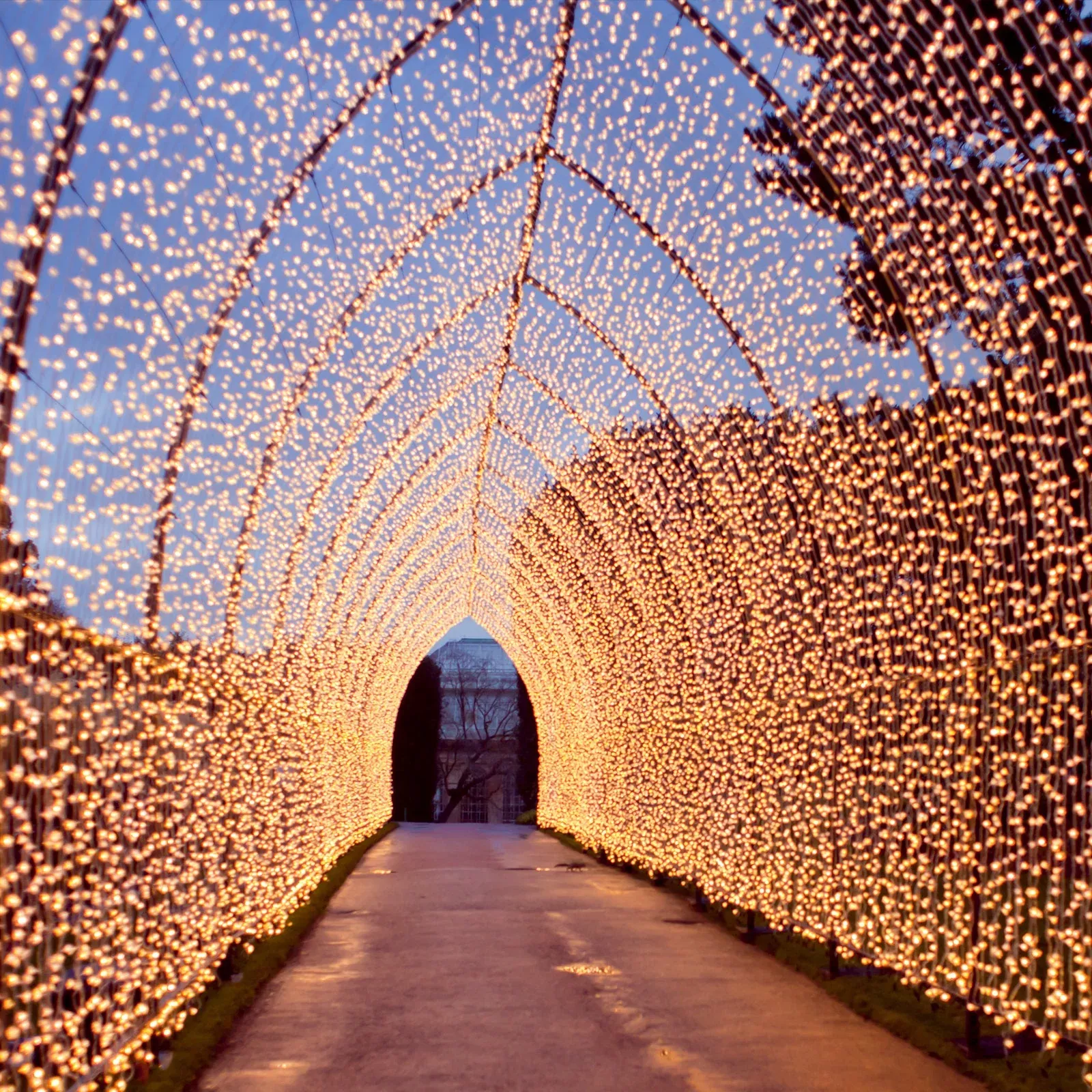 10ftx30ft Warm White 900 LED Curtain String Lights with 8 Modes & Inline Memory Controller, Plug In Waterproof Fairy Lights for Indoor Outdoor