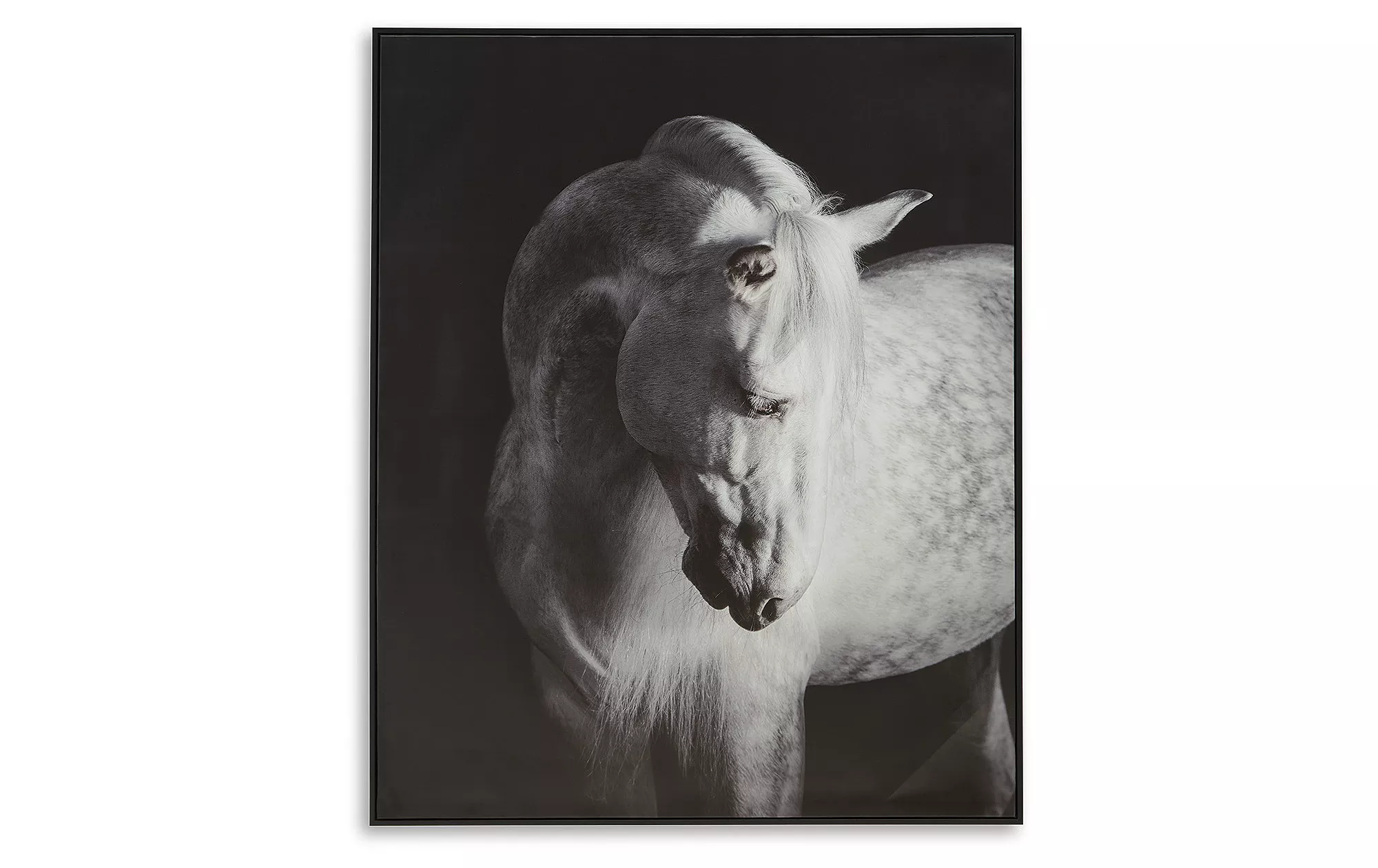 Archerwick Horse Wall Art