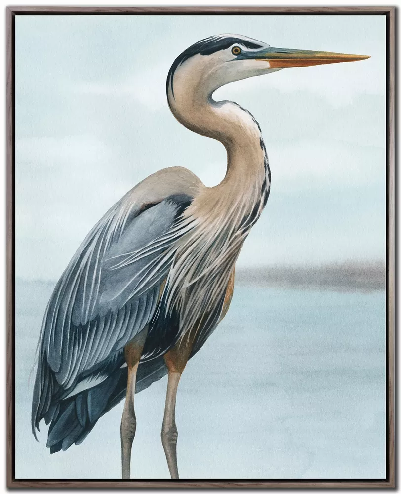 Back Bay Heron I