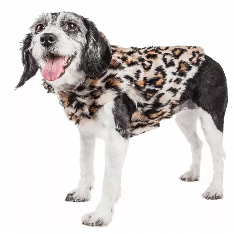 Durable Dog Leash with Shock Absorption & Stitched Durable Material