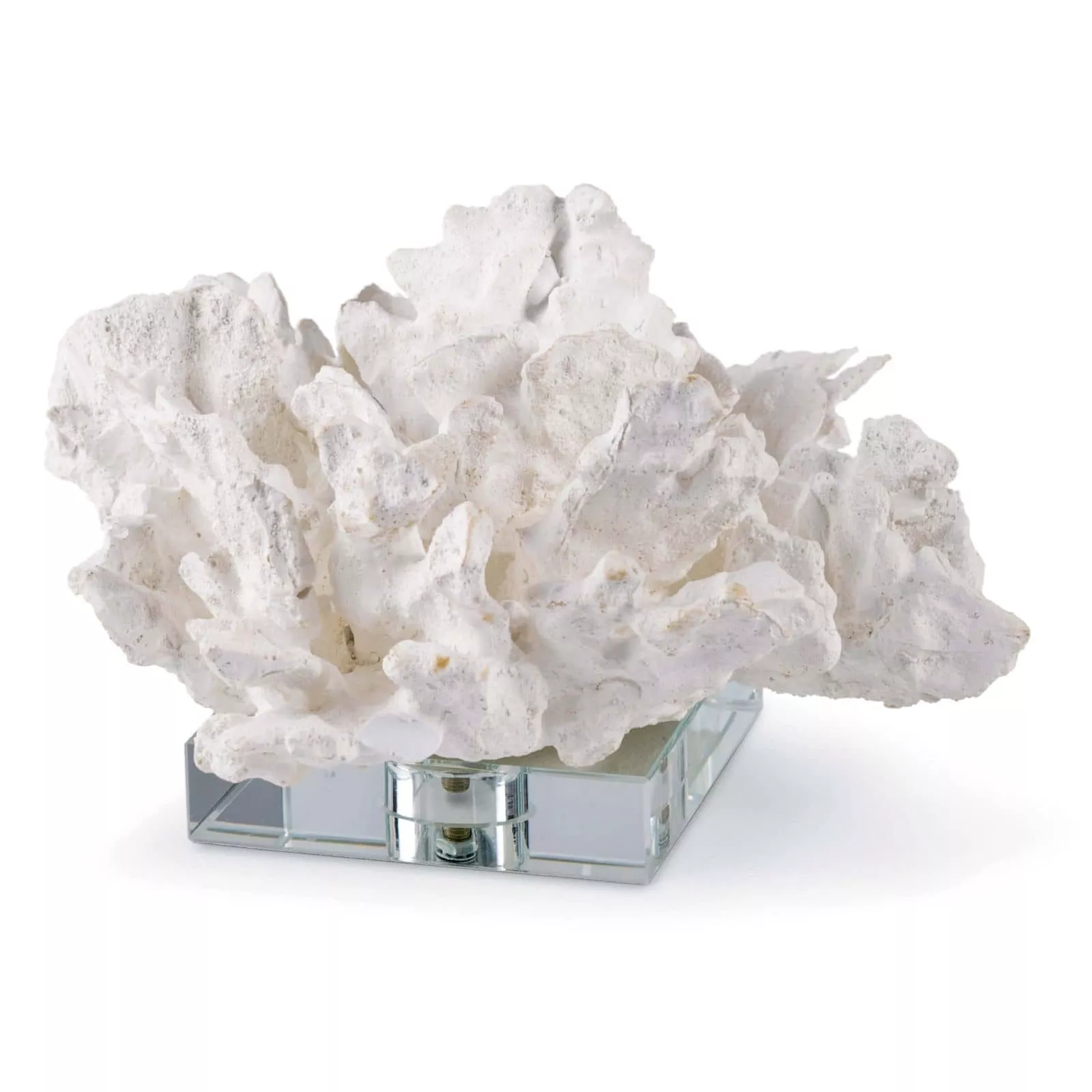 Flower Coral On Crystal Base
