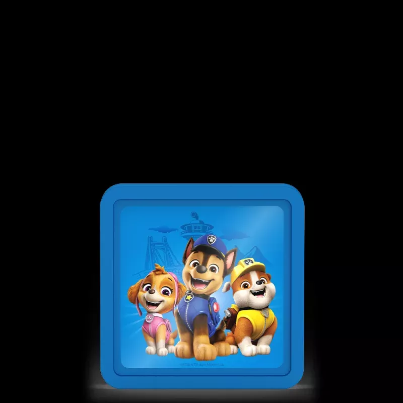 Hard Ice Paw Patrol