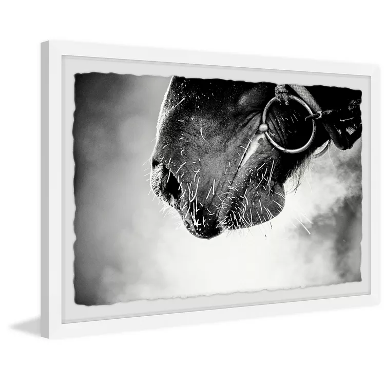 Marmont Hill Muzzle Framed Painting Print