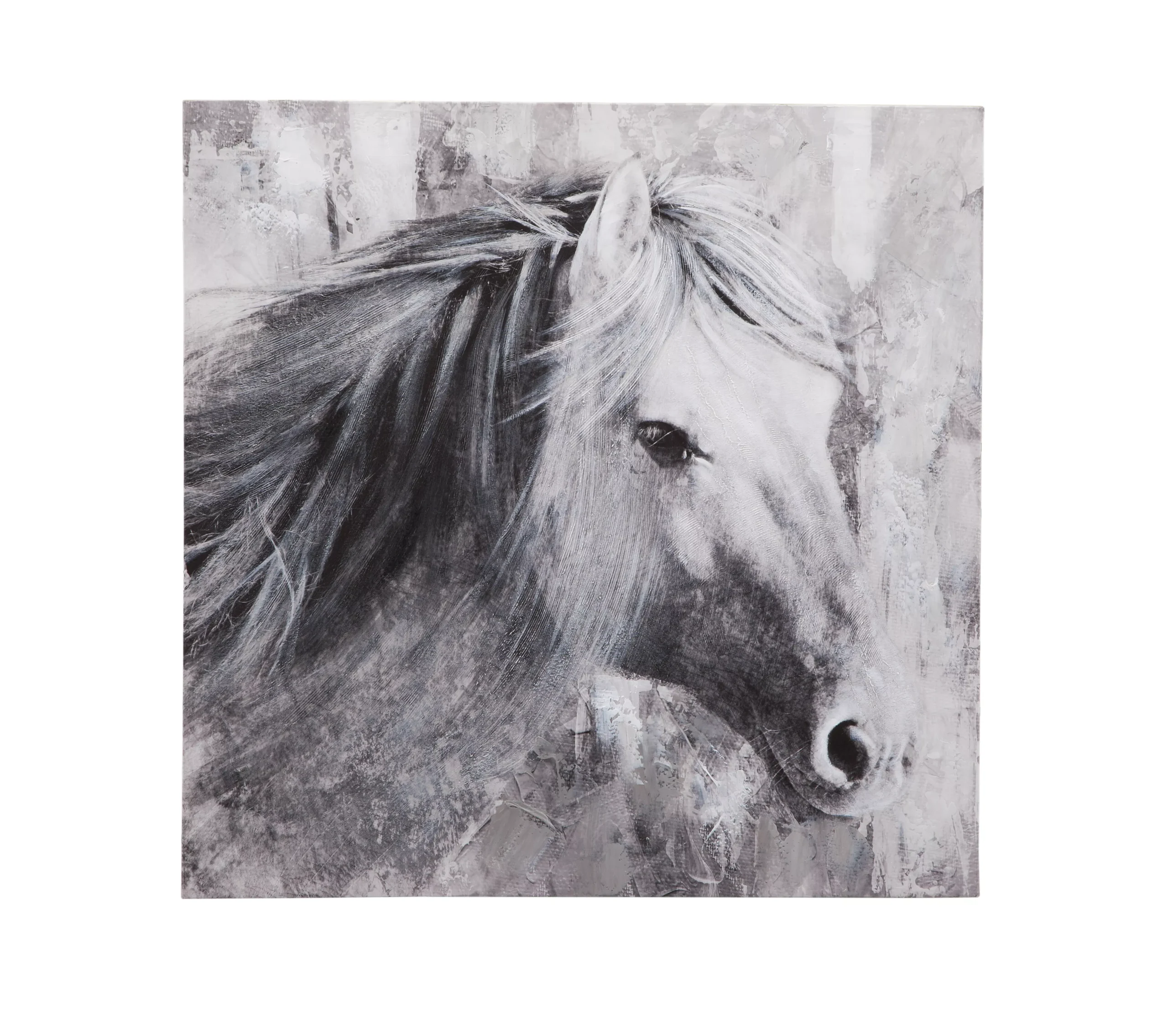 Meg Canvas