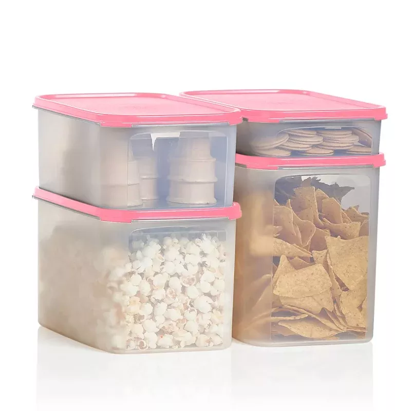 Modular Mates 4-Piece Set | Rectangular | Food Storage