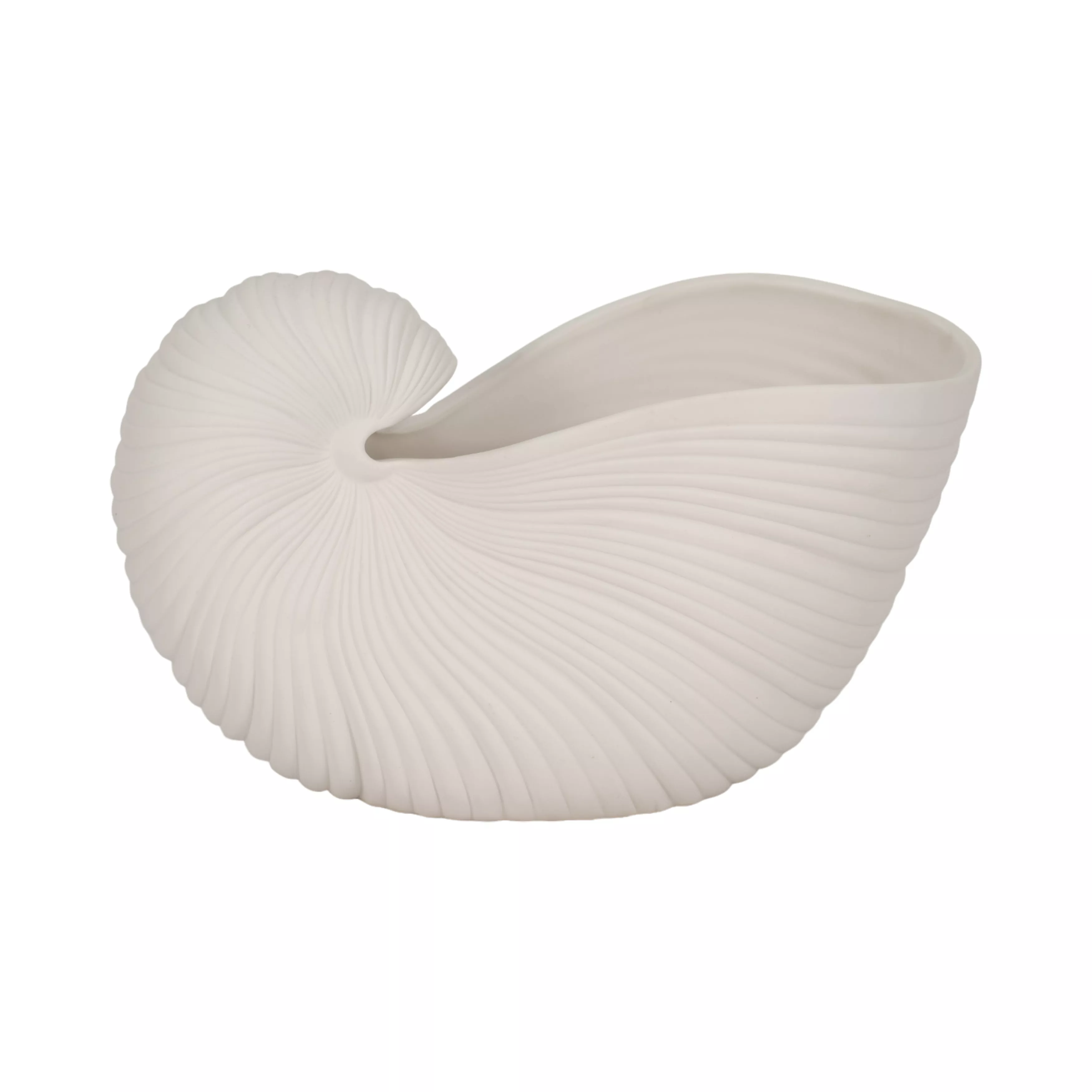 Nautilus Shell Planter