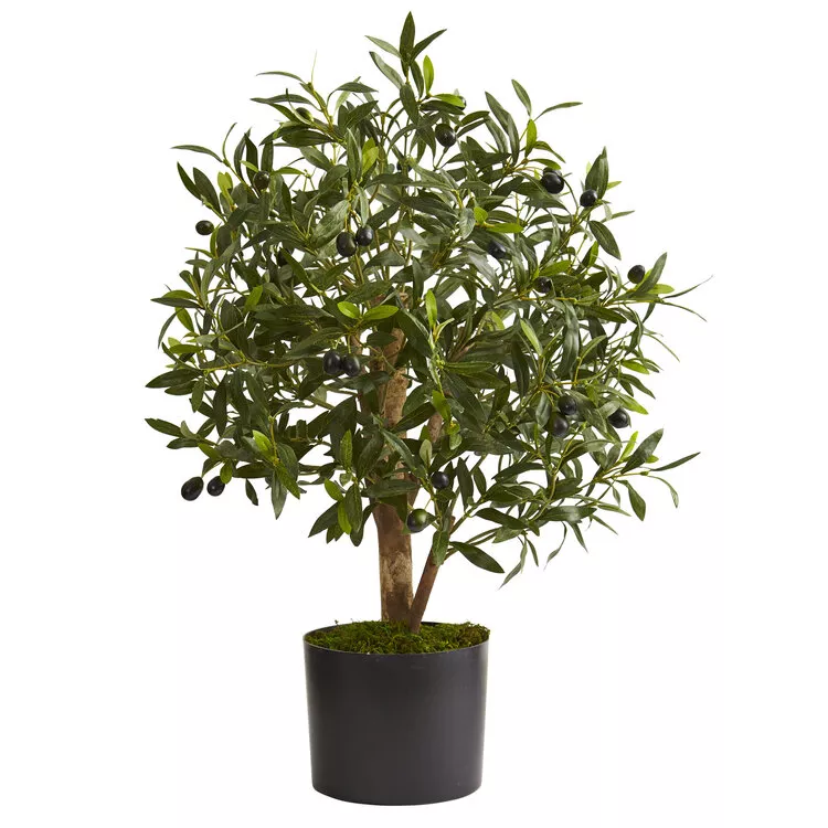 Nearly Natural 29in. Olive Artificial Tree