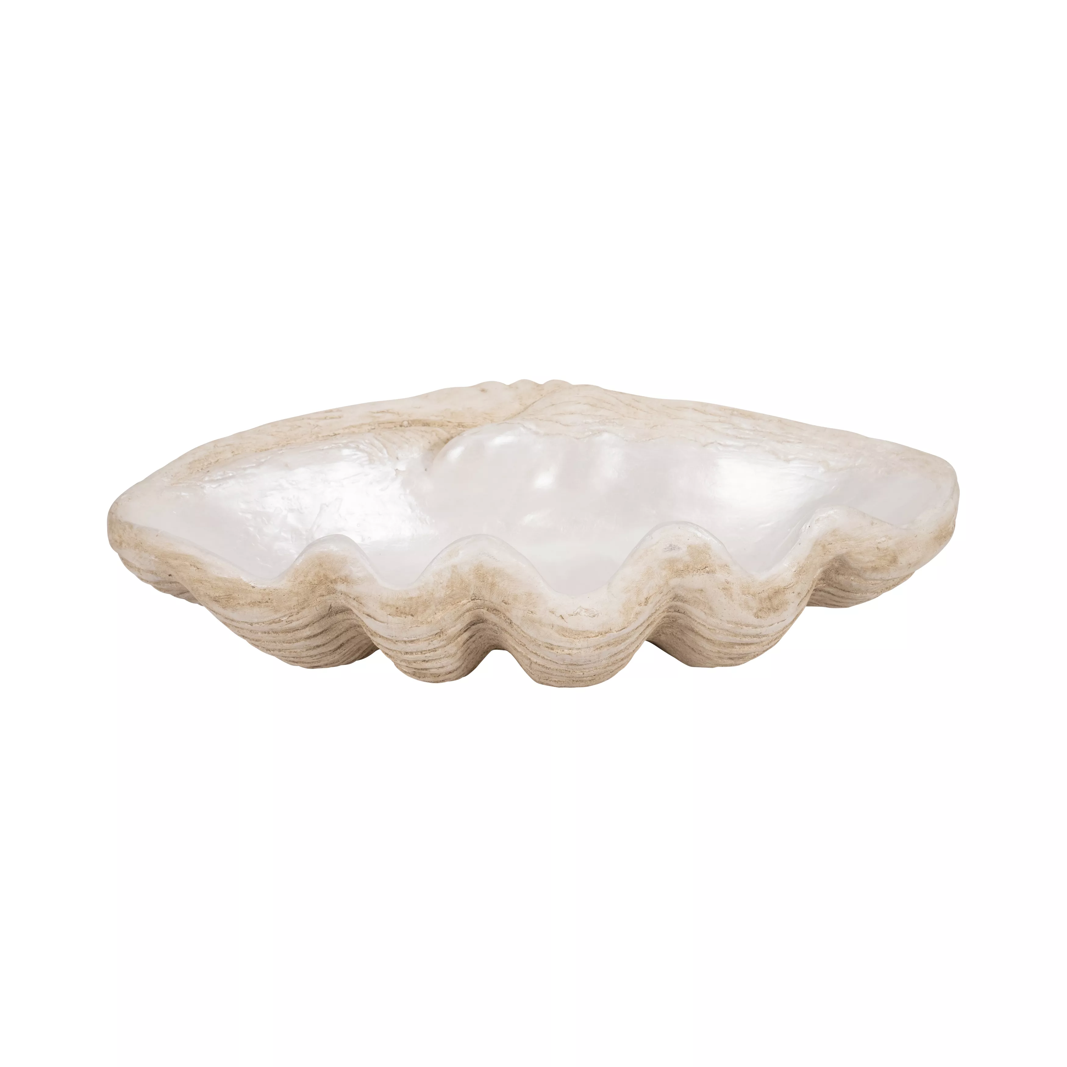 Pearlized Shell Bowl