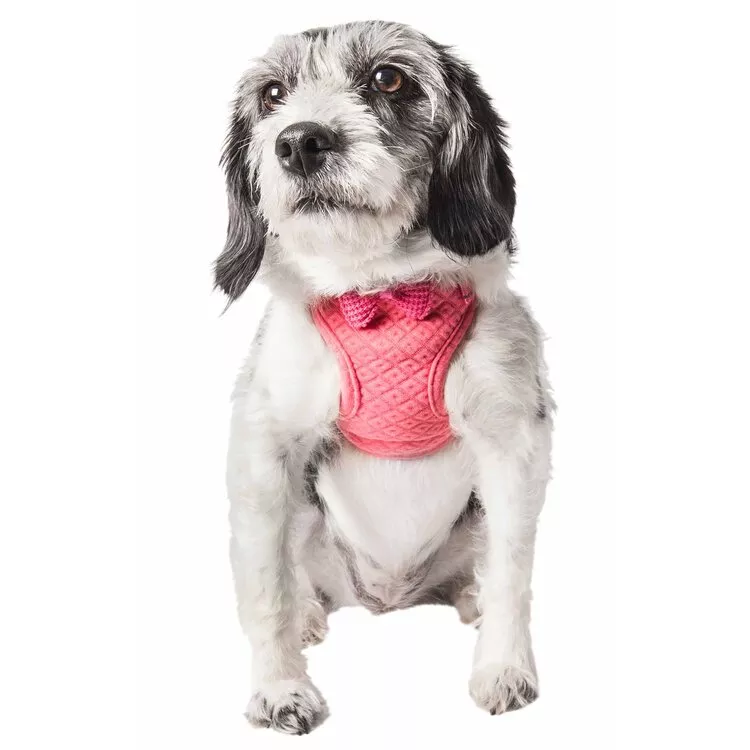 Reversible Breathable Dog Harness with Bowtie & Adjustable Straps