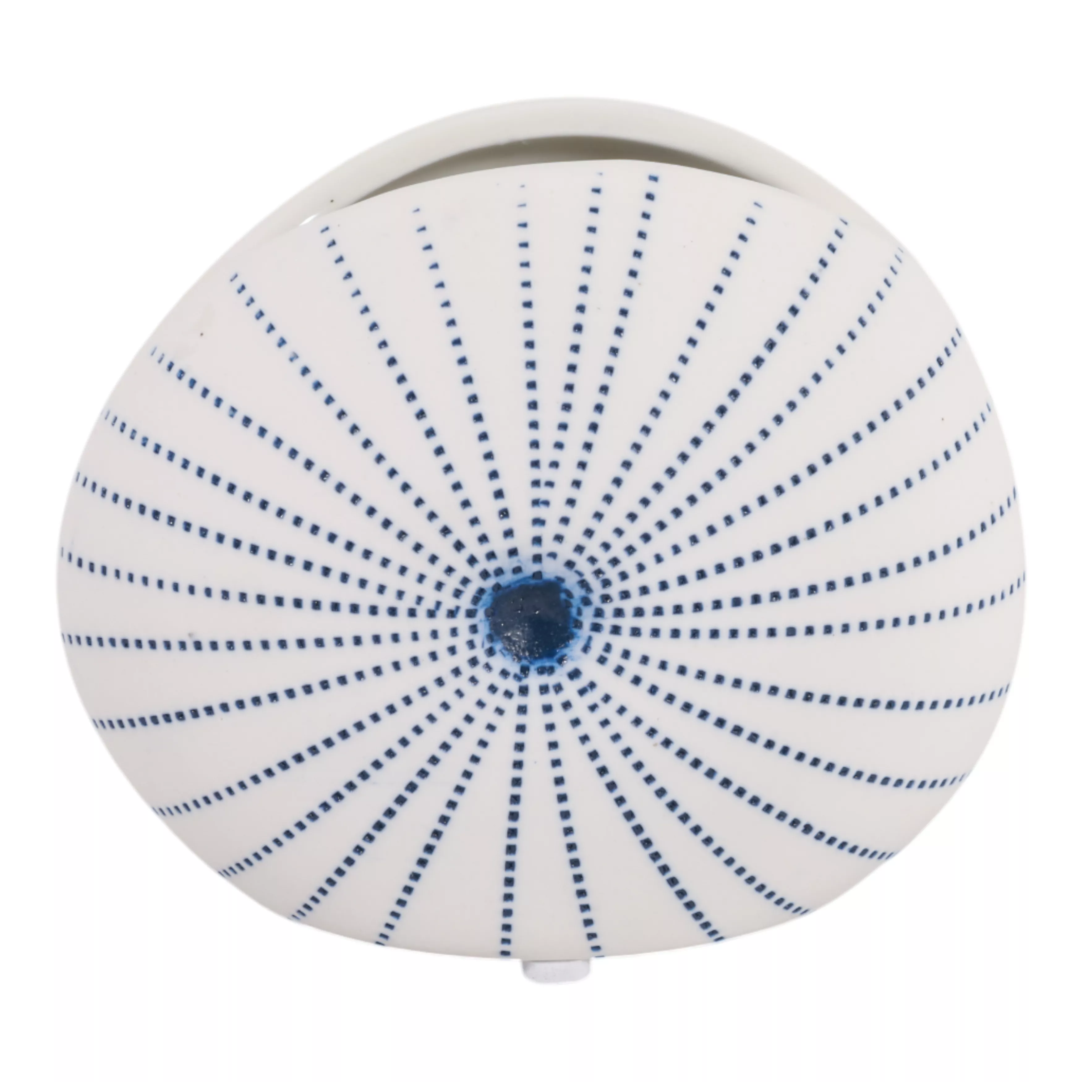 Round Dotted Shell Bud Vase