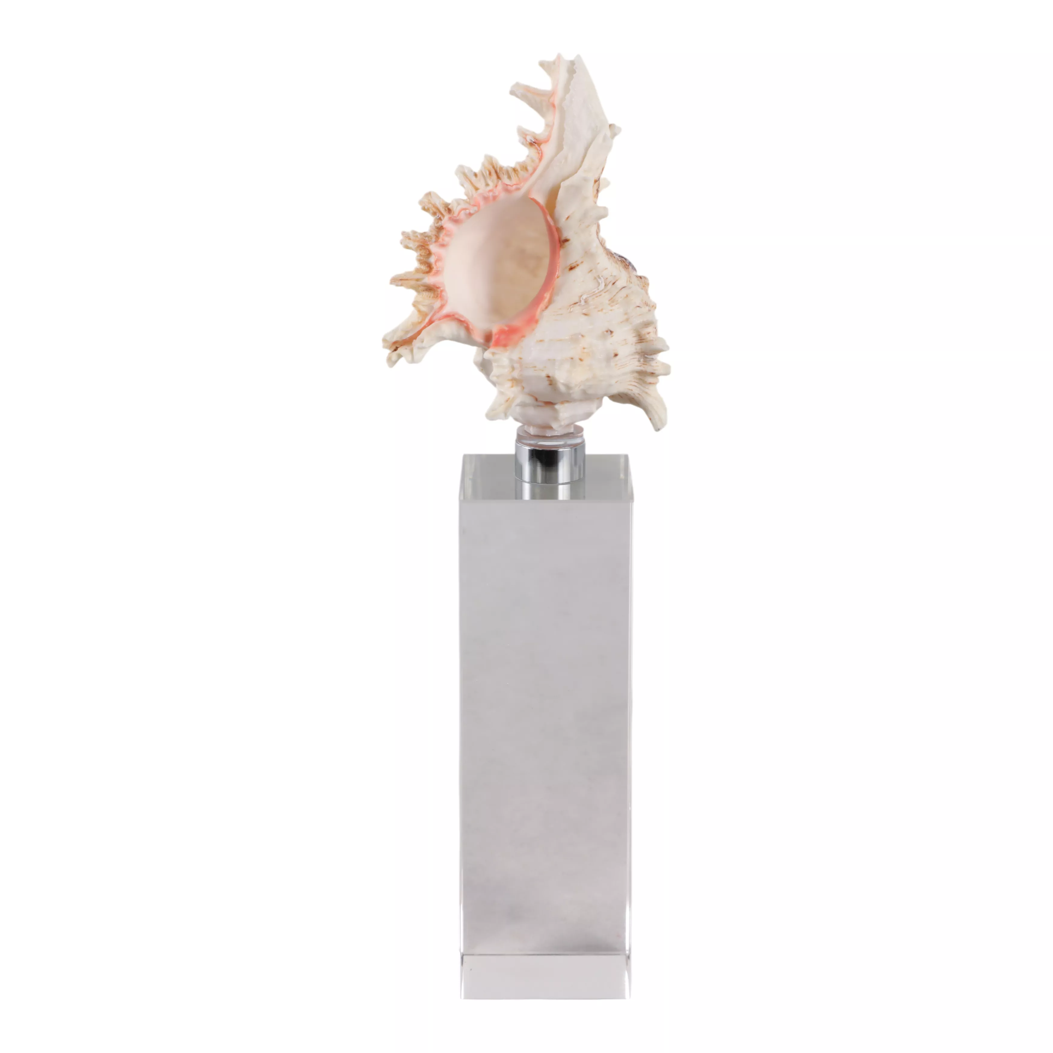 Shell on Crystal Base