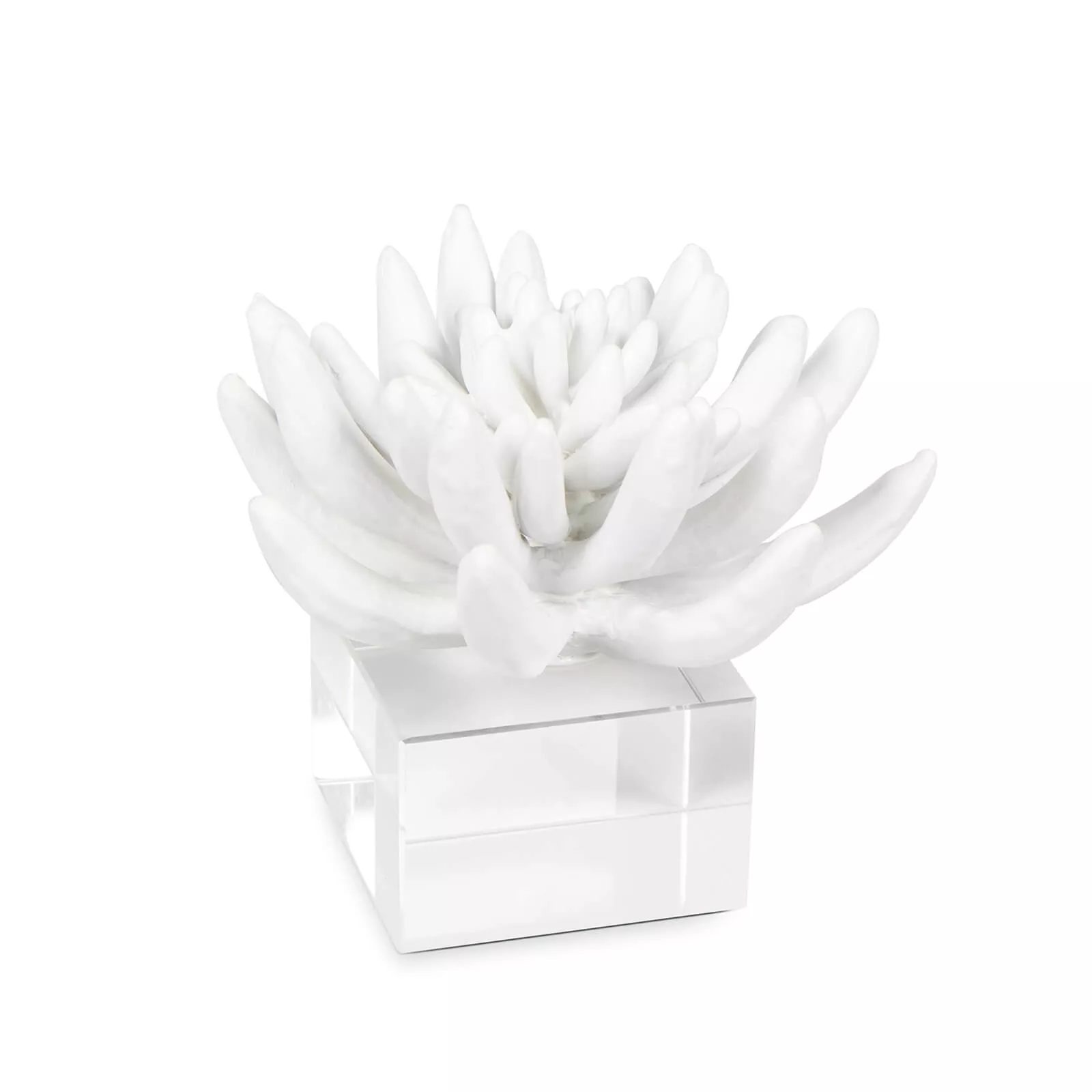 Succulent Sculpture 2