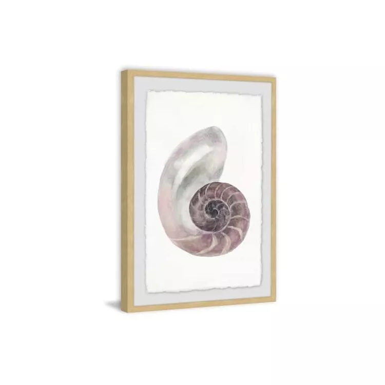Usual Shell Framed Painting Print