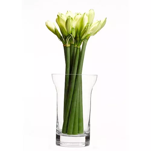 When Objects Work Glass Vase, 11.8" by John Pawson
