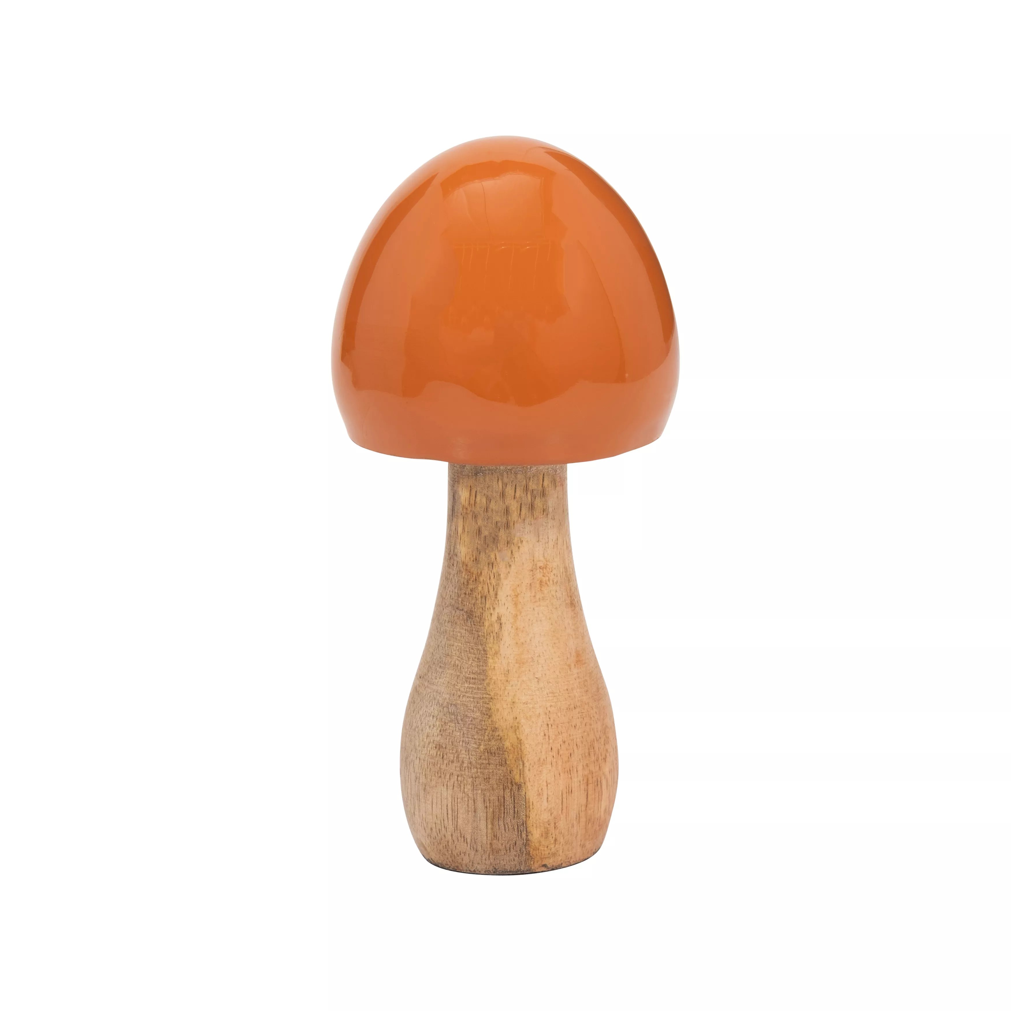 Wood Coned Mushroom