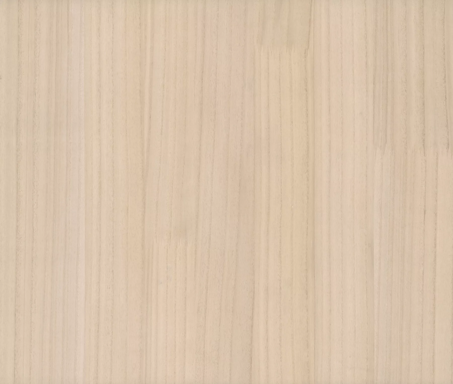 Wood Veneer Beech Wallpaper (Set of 2)