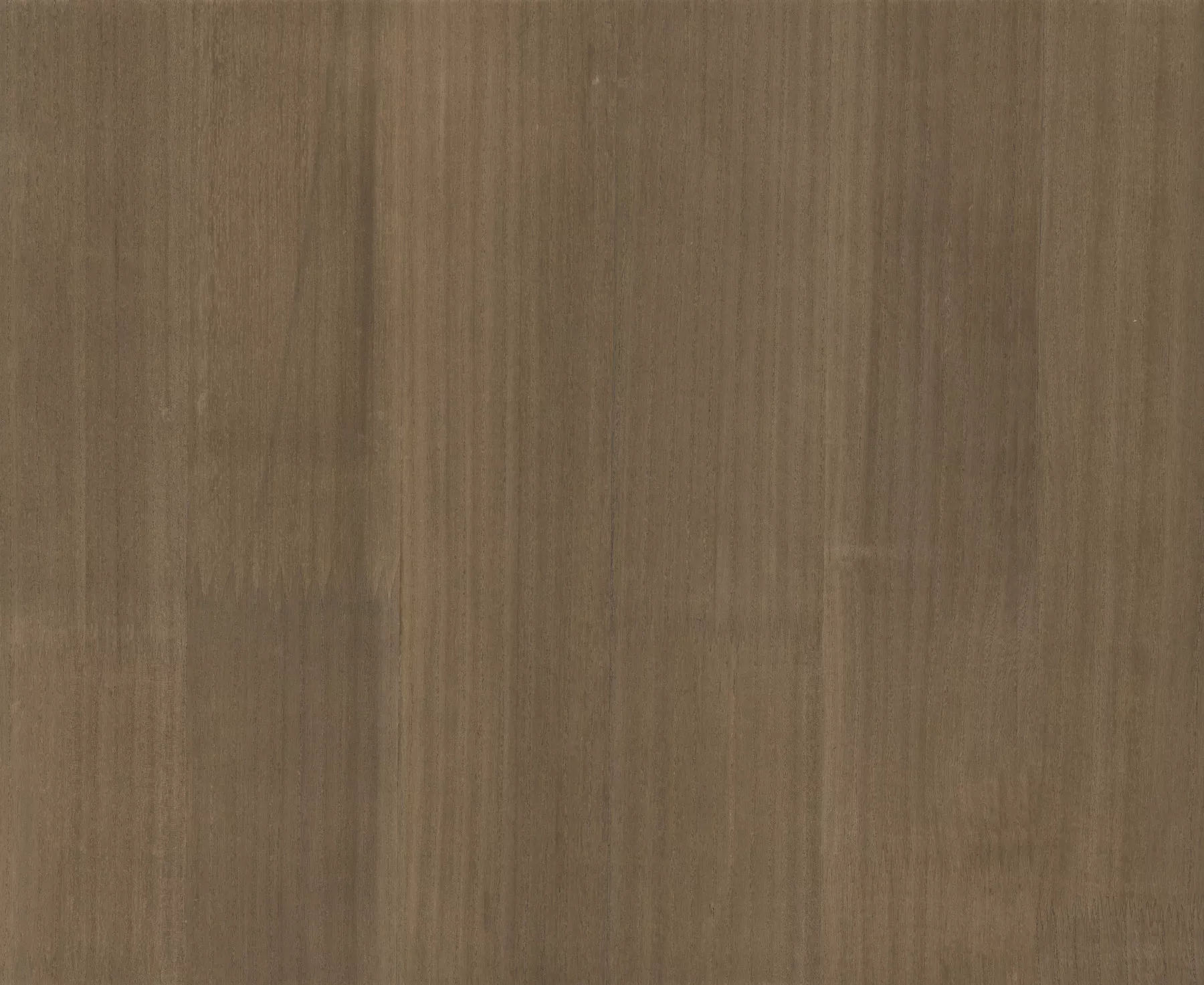 Wood Veneer Oak Wallpaper (Set of 2)